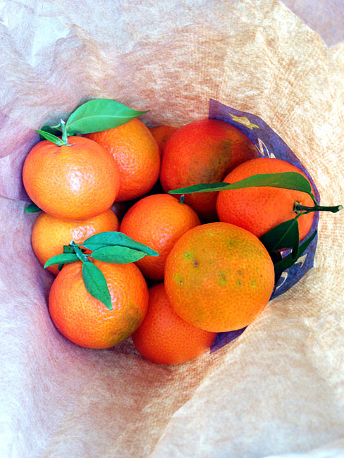 Clementinen frisch aus der Bio-Tüte