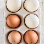 Eier Eierkarton