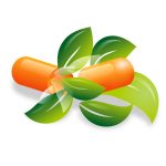 Kapseln Blätter Nahrungsergänzung Arzneimittel