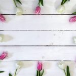Tulpen Blumenbild Platz für Text auf Holzwand