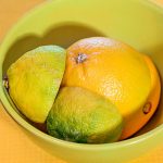 Halbierte Zitronen Orangen