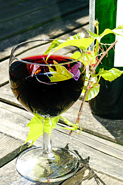 Rotwein-Glas Weinreben