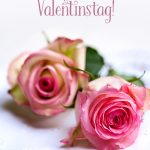 Alles Liebe zum Valentinstag romantische Rosen Valentinsgruss
