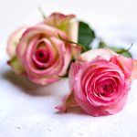 Romantische Vintage Rosen Spitzendecke Muttertag Valentinstag
