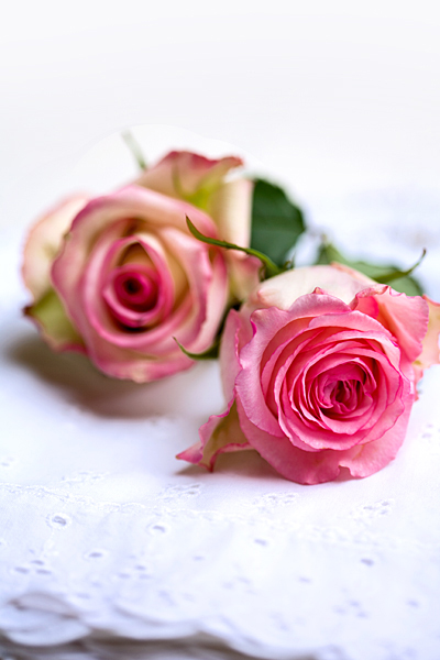 Romantische Vintage Rosen Spitzendecke Muttertag Valentinstag
