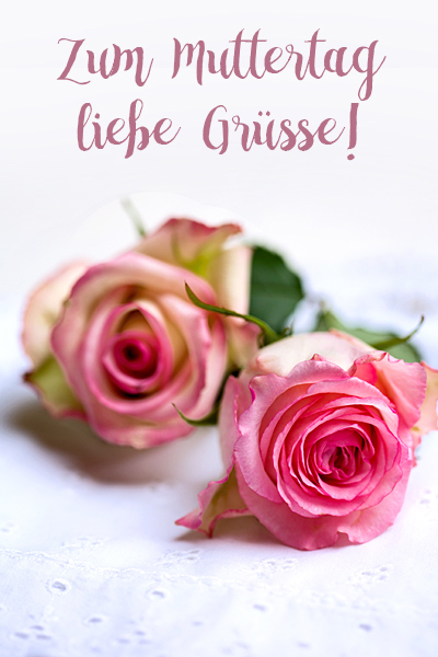 Romantische rosa Rosen-Blüten zum Muttertag liebe Grüsse