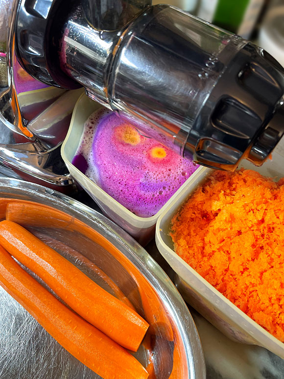 Gemüsesaft Karottensaft pressen Slow Juicer Entsafter Rotkohl